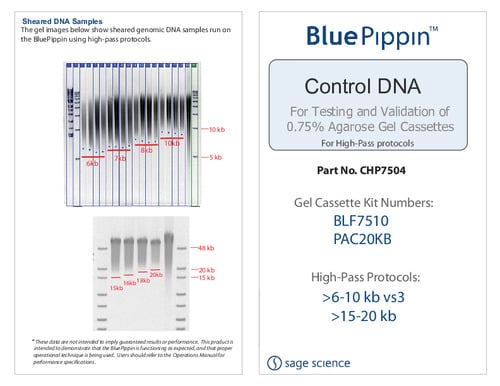 CHP7504_Control DNA Guide_6_17_19
